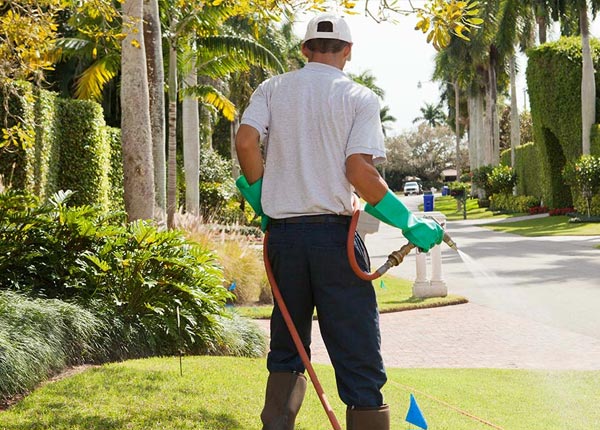 About Hoffman IL Pest Control
